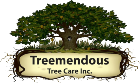 40_Treemendous-Logo-1