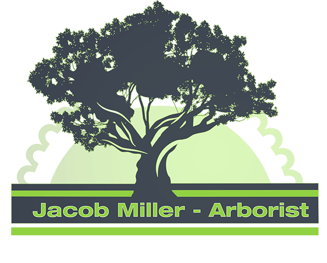 Jacob Miller - Arborist Atlanta Web