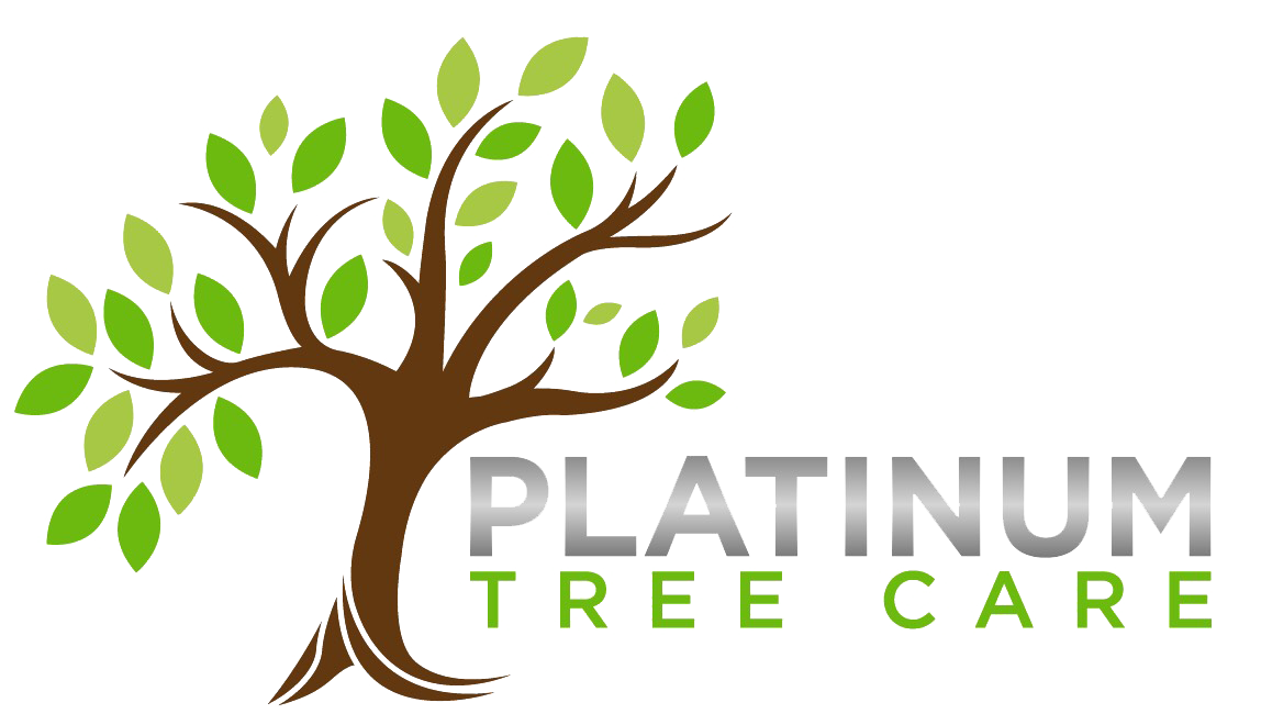 Platinum Tree Logo