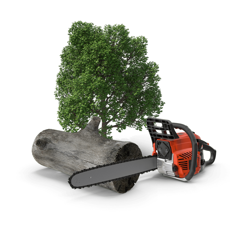 Tree Services